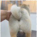 뷰티몽 이미지