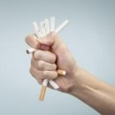 라도다방 이미지