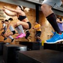 하이파이브 크로스핏 이미지