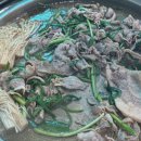 오리궁뎅이 이미지