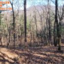 하천리-12 이미지