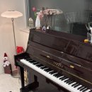 피아노숲 | 성수·뚝섬·서울숲 성인 피아노학원 비바피아노 내돈내산 추천 후기