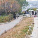 타로점... 이미지