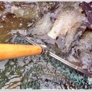 삼인낚시터 이미지