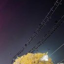 기동반-52 SBS