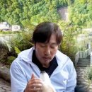 애견나라 이미지