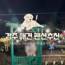 경주애견펜션 해피데이해피독 이미지