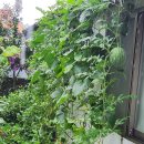 대현농장 이미지