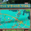 어단1리 이미지