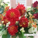 은평-042 이미지