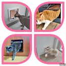 캣츠앤몬스터 이미지