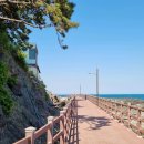 정자항 공중화장실 이미지