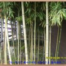 종로노인종합복지관 이미지