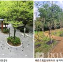 샘골공원2 도민일보