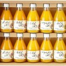 세계유산코스 네이버블로그