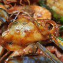 타이거정왕점 | 배곧배달맛집 코코보일링크랩 해물찜에 해물가득 이국적 맛이라 특별해
