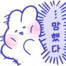 오천153 이미지