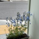 지윤목장 이미지