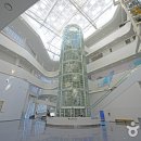 씨드 뱅크 Daum카페