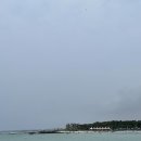 바다이야기2 이미지