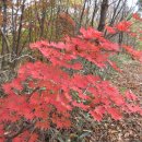 차돌배기로1 이미지