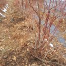 한구농장 이미지