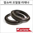 완벽한 주행을 위한 필수 아이템! 아리에테 프론트 쇼바 리데나 포크오일씰 리뷰