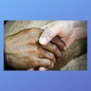 산본천로+고산로 이미지
