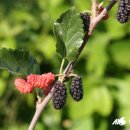 (주)오디 이미지