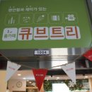 큐브트리영종