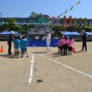 신사초등학교 병설유치원 이미지