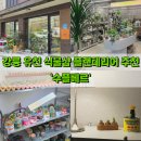 씨유강릉유천우미린점 | 강릉 식물샵 플랜테리어 화분 분갈이 추천 '수플베르'
