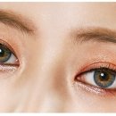 골드오션 이미지