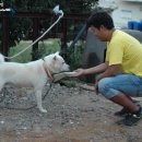 함박농장 이미지