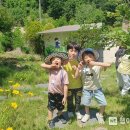 조마초등학교 이미지