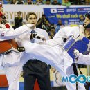 신성태권도 이미지