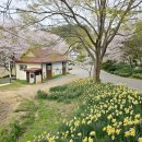 구항면 내현마을회관 이미지