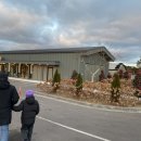 도토리마을 | 제주동화마을 도토리숲 후기｜센과 치히로·토토로 굿즈 천국이에요