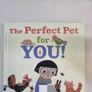 pet for you 이미지