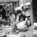 우리 함께 살기 위하여 이미지