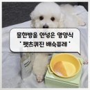 펫츠 퀴진 이미지