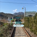3834 | 춘천 여행 코스 추천 김유정 레일바이크 후기