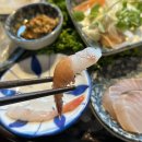 남해물고기 | 안양 범계역 맛집 횟집 남해물고기 사시미 오마카세 한상 후기