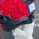 꽃을든히포