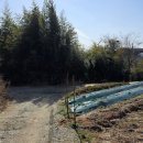 세도자원 이미지