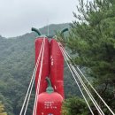 청양고추문화마을 | [청양군 청양읍] 찰리와고추빵공장(청양고추빵/청양선물/주차정보)