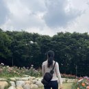 노적봉공원 화장실 이미지