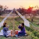 비석축산 이미지