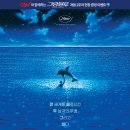 그랑블루 이미지