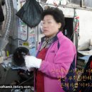 평림축산 이미지